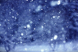 The winter break according to the French