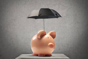 Bare ownership: investment in bare ownership