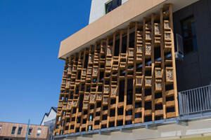 Creation of an insect "hotel" in Dijon